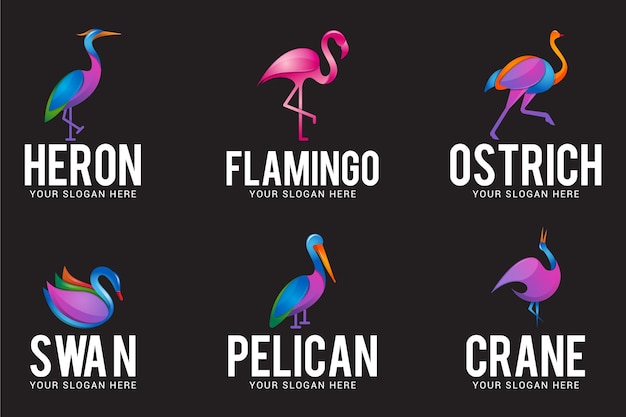 Birds Logo Vector Designs