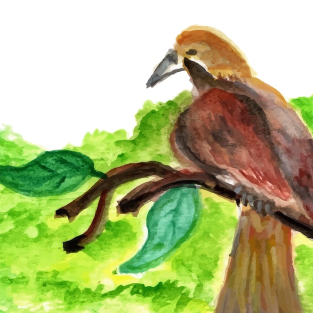 birds nature watercolor