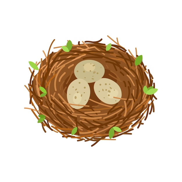 Birds nest with 3 eggs branches and leaves Vector illustration isolated on white background