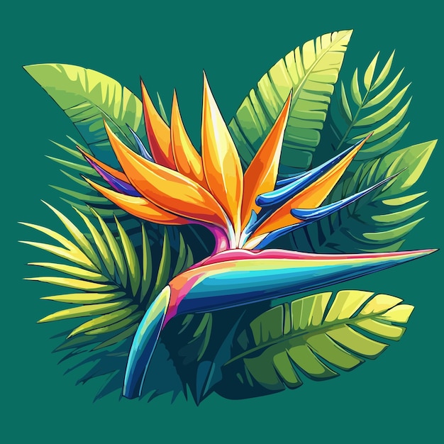 Vector birds of paradise flower vector 17