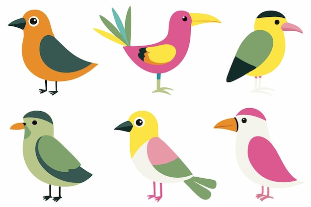 Vector birds set flat illustrations on white background