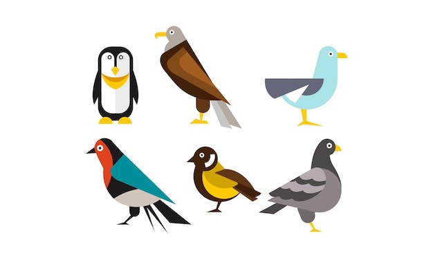 Birds set penguin eagle gull pigeon vector Illustration isolated on a white background