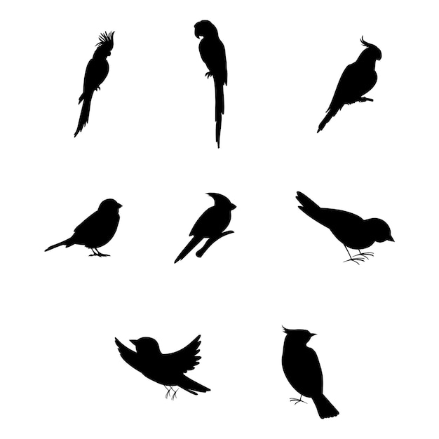 Birds silhouette vector illustration design