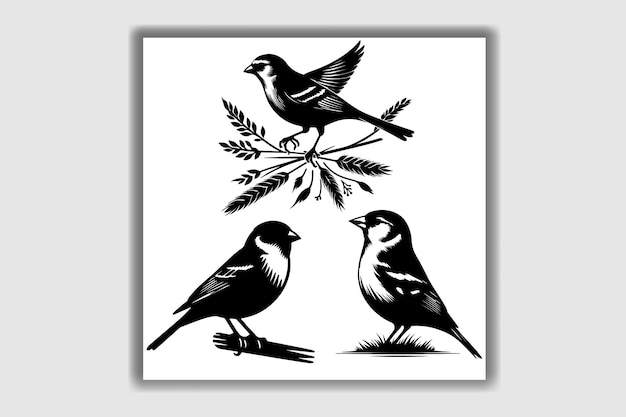 birds silhouettes vector illustration collection design