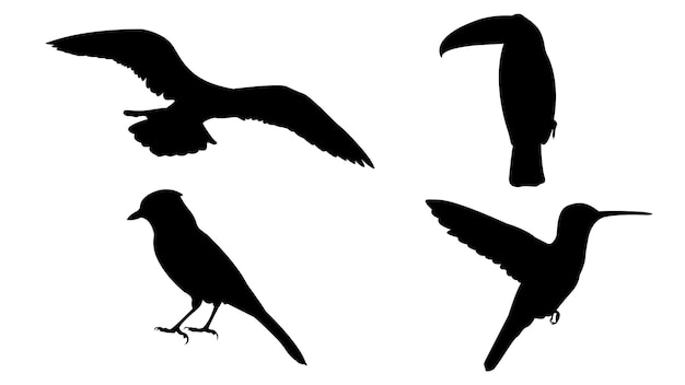 Birds Silhouettes