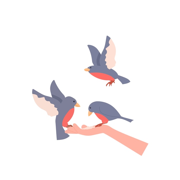 Vector birds sit on the arm holding food