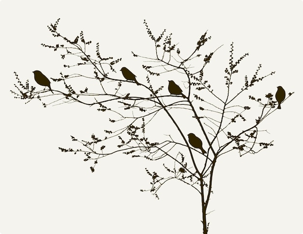 Birds on the spring tree