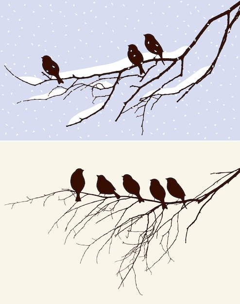 Vector birds in winter and in spring