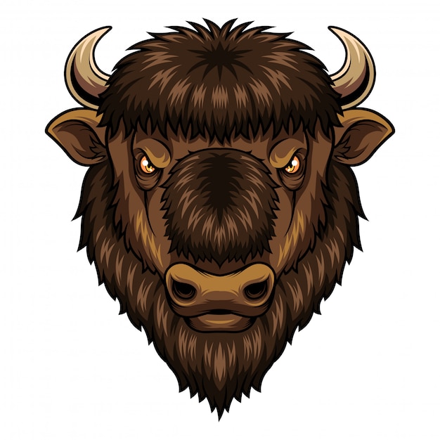 Bison Head Mascot