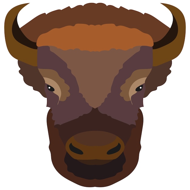 Bison head Portrait of cattle cow Isolated on a white background Design element for logo poster card banner emblem tshirt Vector illustration