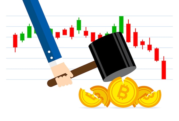 Bitcoin market was hit by a big price slash Vector illustration design