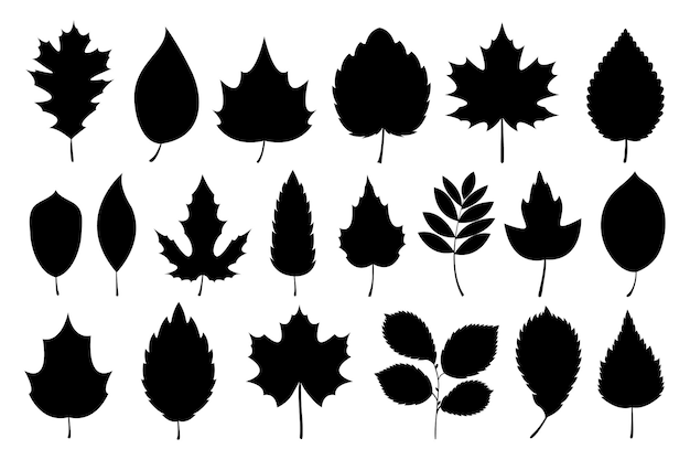 Vector black autumn leaf silhouettes collection fall leaves foliage silhouettes isolated on white