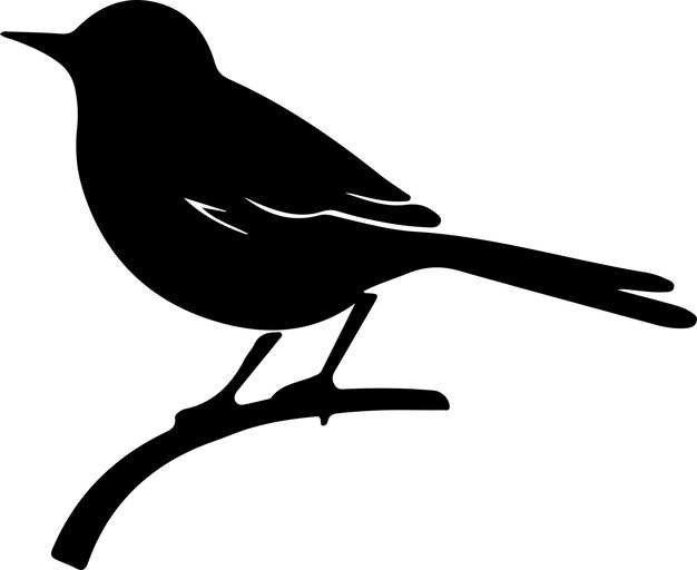 a black bird on a branch with a black silhouette on it