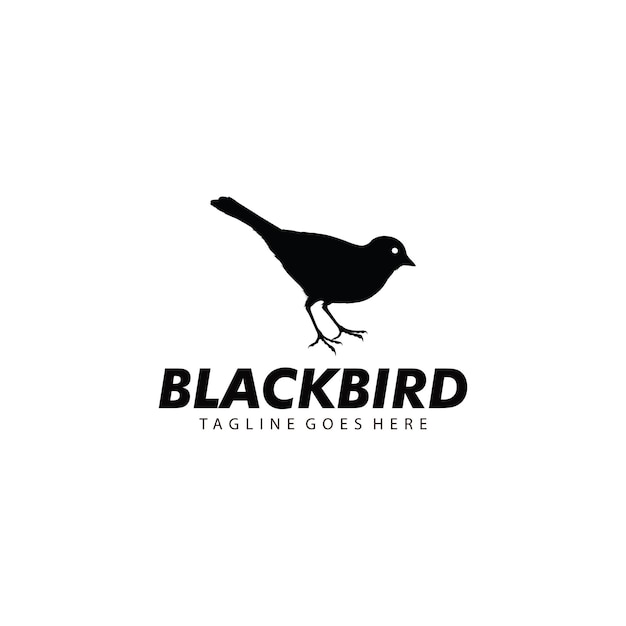 Black Bird Logo Design