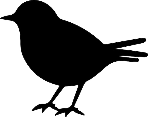 a black bird with a black outline of a bird on its back