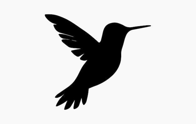 a black bird with a black outline of a bird with a long beak