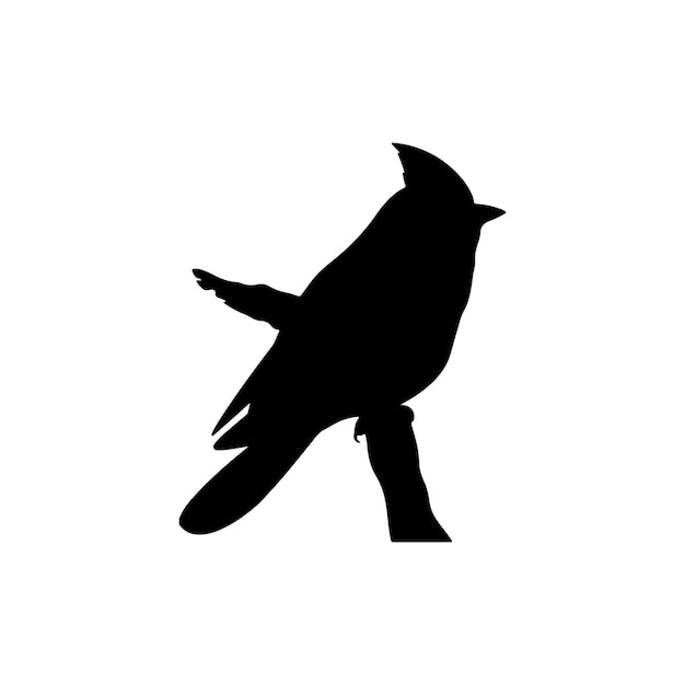 a black bird with a black silhouette on a white background