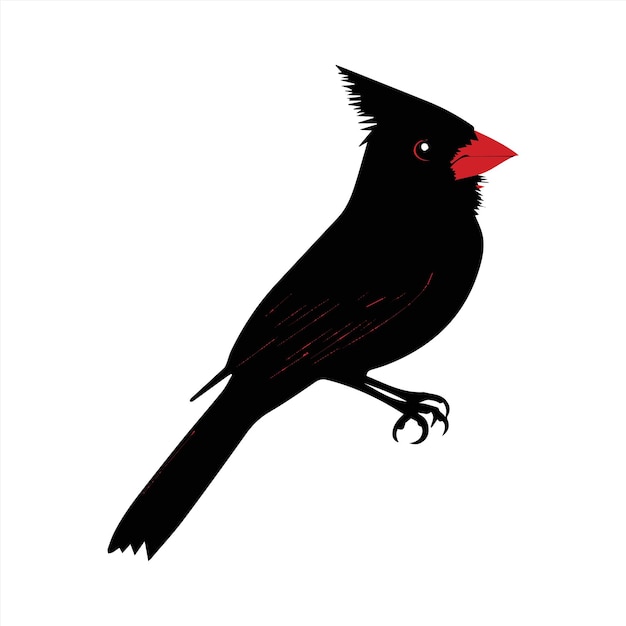 Vector a black bird with a red beak on the face