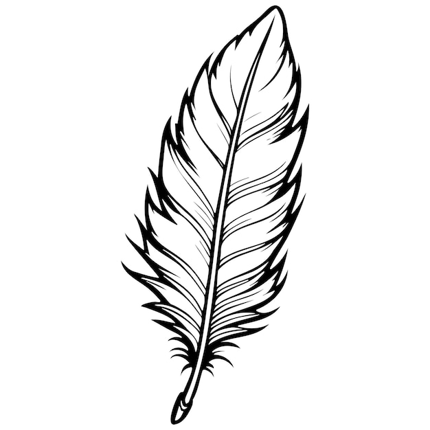 Vector black cartoon feather monochrome hand drawn line illustration transparent background