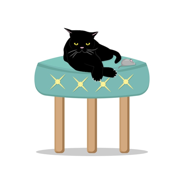 A black cat lies on a stool