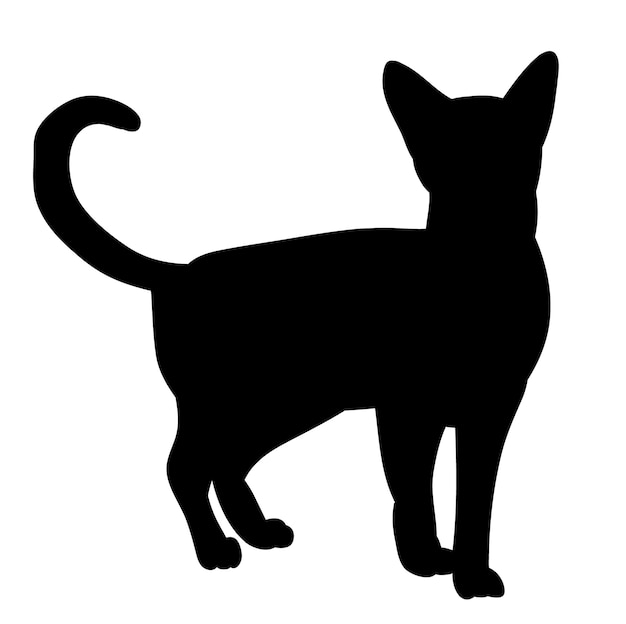 A black cat silhouette with the word cat on it.