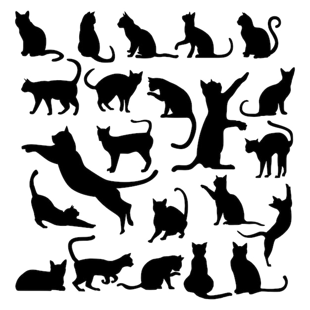 A black cat silhouettes is shown in a white background