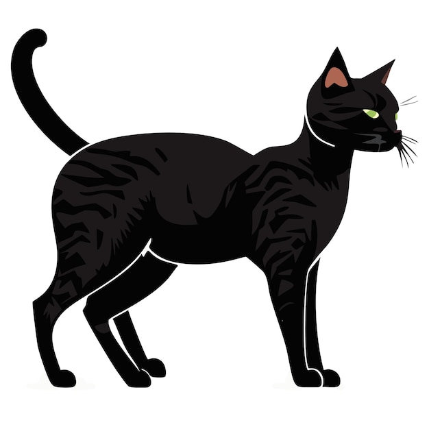 Vector a black cat with green eyes and a black tail