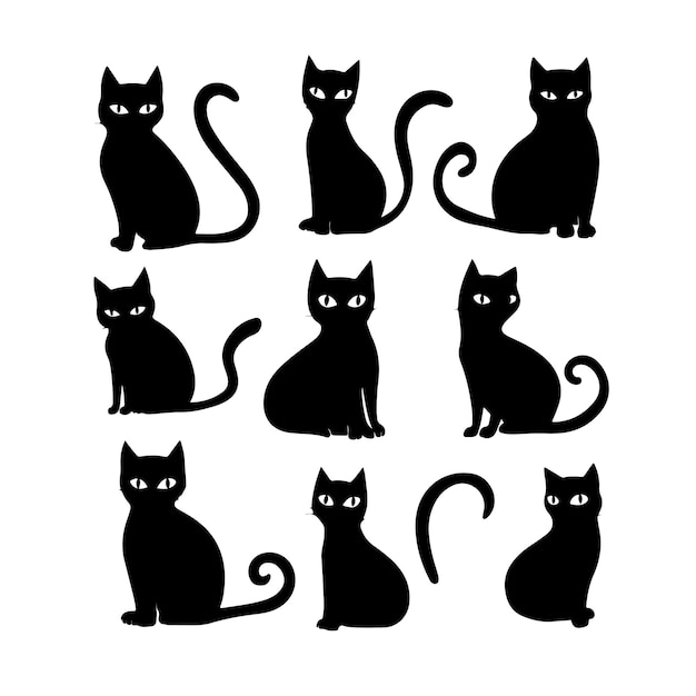 a black cat with a white tail sits in a row