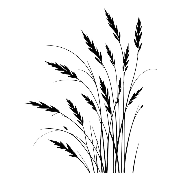 Black Color Grass Silhouette Vector Illustration