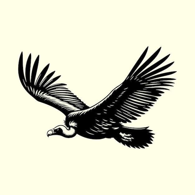 Black color Vulture bird Silhouette Vector Illustration