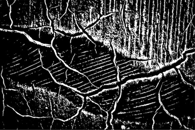 Vector black cracked texture background