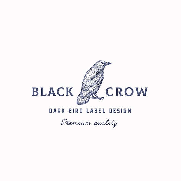 Black Crow Abstract Vector Sign, Symbol or Logo Template. Hand Drawn Raven or Crow Bird Sketch Silhouette with Retro Typography. Isolated.