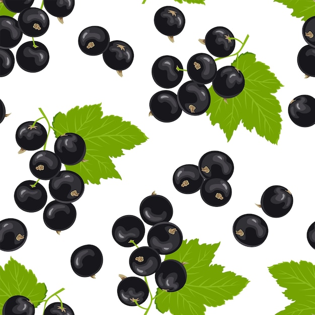 Black currant berry seamless background