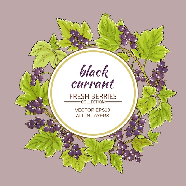 Black currant vector frame