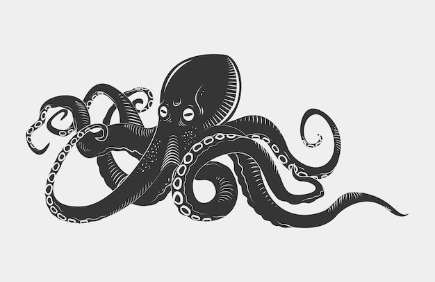 Black danger cartoon octopus characters