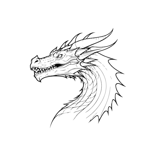 black dragon vector engraving illustration on a white background