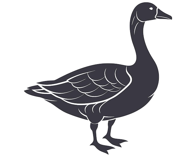 a black duck is shown on a white background