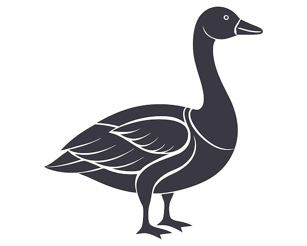 a black duck with a black head and a white background