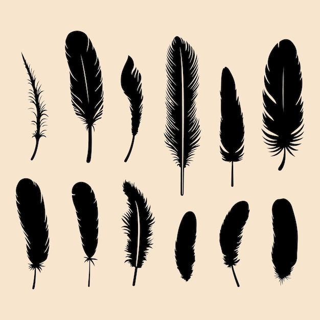 black feather icons black silhouette vector Clip art