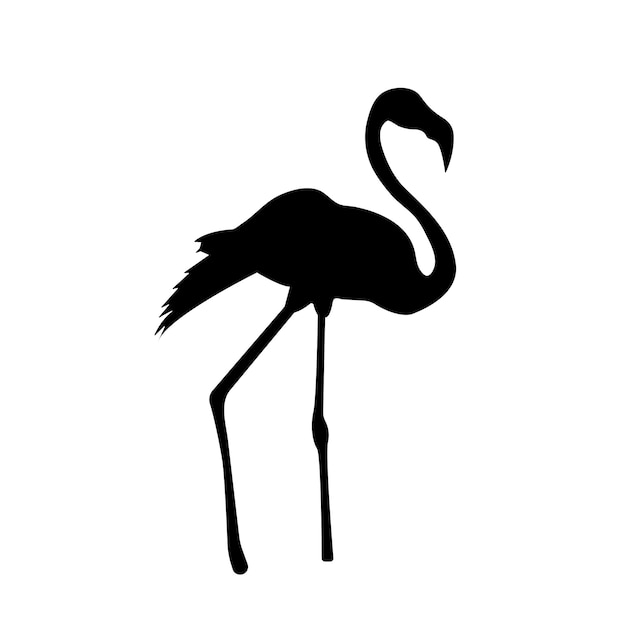 Black flamingo silhouette isolated on white Bird silhouette