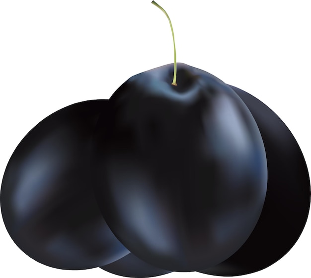 black Fruits ISolated