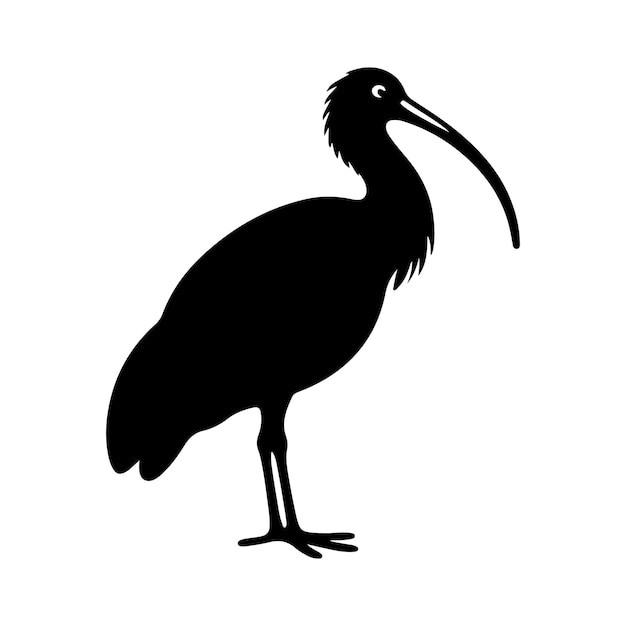 Vector black headed ibis silhouette vector illustrations perfect for designers