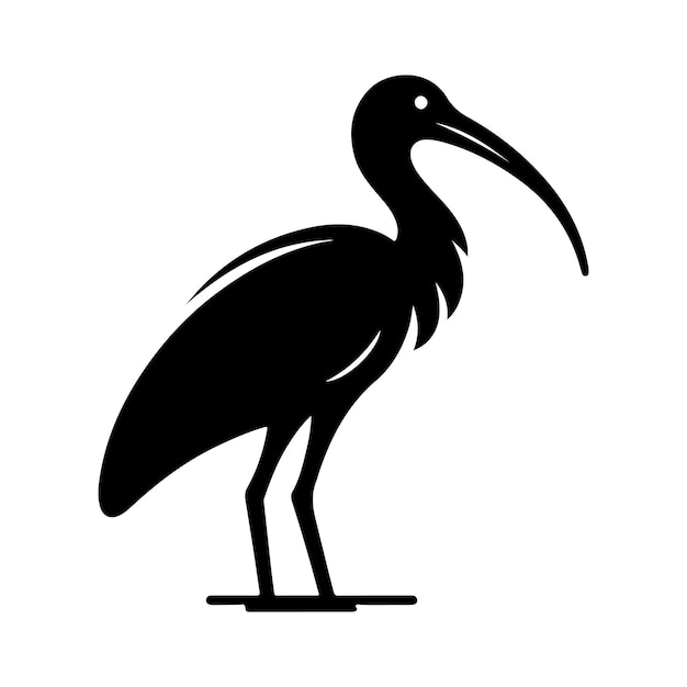 Vector black headed ibis silhouette vector illustrations perfect for designers