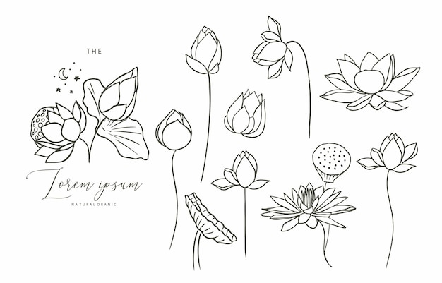 Black lotus flower outlineVector illustration for iconstickerprintable and tattoo