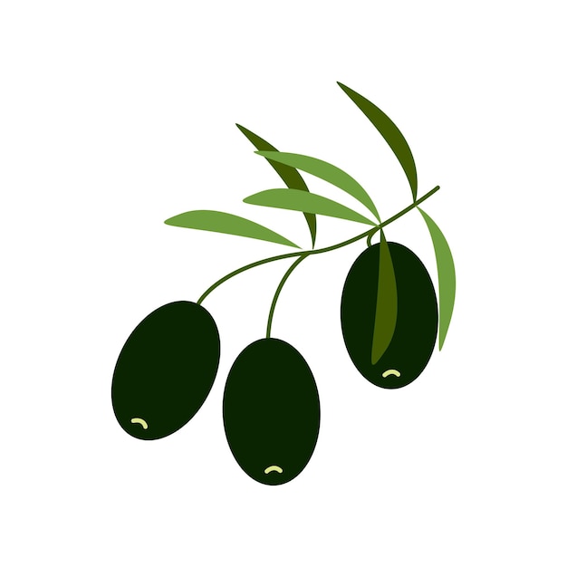 Black olives on a branch, healthy food, vector clipart in flat style, isolate on white.