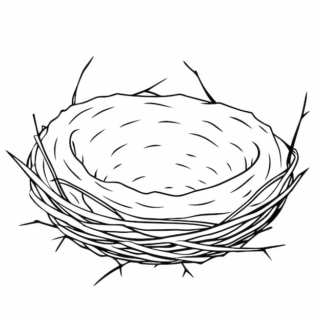 Vector black outline illustration bird nest for coloring page