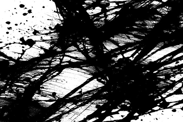 Vector black paint grungy texture on white background vector image of black paint splash texture