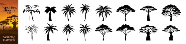 Vector black palm trees set isolated on transparent background coconut palm tree icon