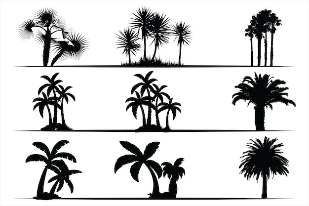 Black palm trees set, Palm silhouettes collection