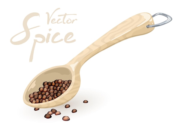 Black pepper corns or peppercorn are in measuring wooden or plastic spoon